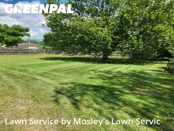 Lawn Mow nearby Clarksville, TN, 