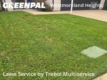 Yard Cutting nearby Dallas, TX, 