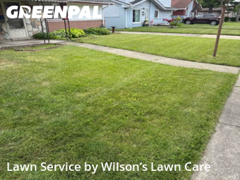 Grass Cut nearby Taylor, MI, 