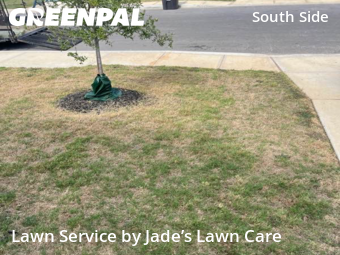 Yard Cutting nearby San Antonio, TX, 