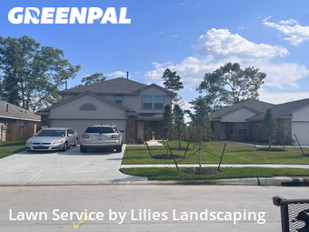 Lawn Care Service nearby Roman Forest, TX, 