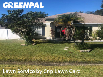 Lawn Services in Poinciana, 34759, Yard Work by Cnp Lawn Care, work completed in Dec , 2025