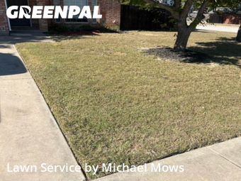 Lawn Servicein Keller,76248,Grass Cutting by Michael Mows, work completed in Dec , 2025