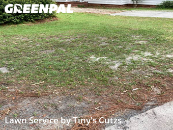 Lawn Mow nearby Valdosta, GA, 