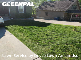 Lawn Cut nearby Maryland Heights, MO, 