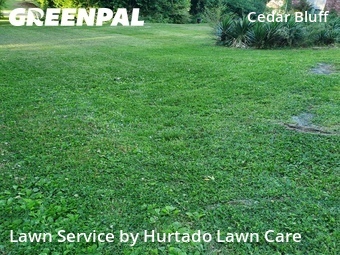 Grass Cut nearby Knoxville, TN, 