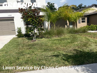 Lawn Mowing Service nearby Riverview, FL, 