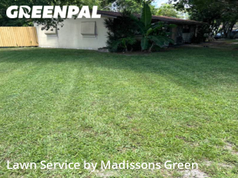 Lawn Care nearby West Palm Beach, FL, 