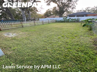 Grass Cut nearby Kissimmee, FL, 