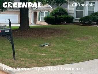Yard Cutting nearby Atlanta, GA, 