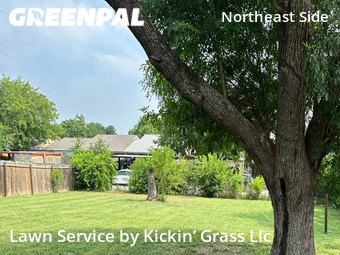 Lawn Cut nearby San Antonio, TX, 