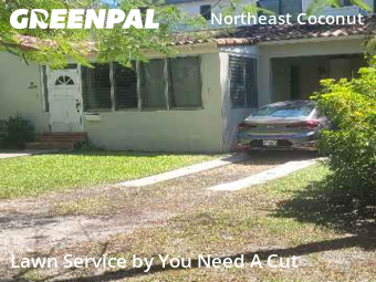 Grass Cut nearby Miami, FL, 