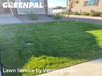 Lawn Care nearby Loveland, CO, 