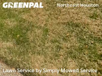 Grass Care in Galena Park, 77547, Grass Care by Simply Mowed Service, work completed in Nov , 2025
