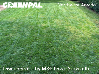 Grass Cut nearby Arvada, CO, 