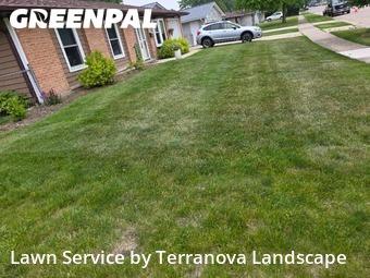 Lawn Cutin Elgin,60120,Lawn Maintenance by Terranova Landscape, work completed in Feb , 2026