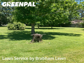 Lawn Service nearby Baton Rouge, LA, 