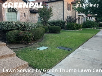 Local Lawn And Landscape Maintenance Services Near Me In Irving,75039,Landscape Design by Green Thumb Lawn Care, work completed in Jul , 2026