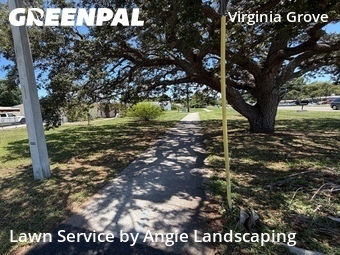 Lawn Mowing Servicein Clearwater,33759,Lawn Maintenance by Angie Landscaping , work completed in Jun , 2026