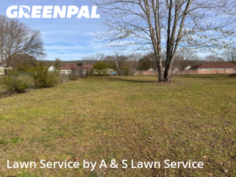 Grass Cutting nearby Athens, AL, 