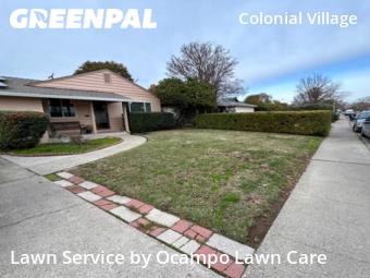 Yard Cutting nearby Sacramento, CA, 