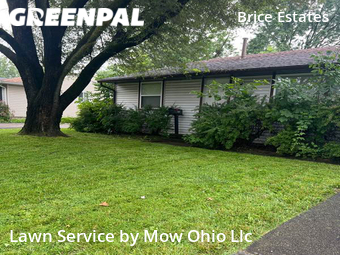 Grass Cut nearby Reynoldsburg, OH, 