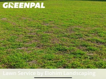 Lawn Maintenance nearby Conroe, TX, 