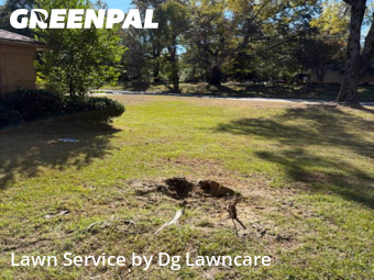 Lawn Cutting nearby Gladewater, TX, 