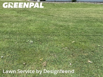 Lawn Service nearby Bentonville, AR, 