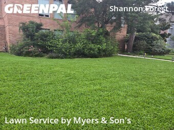 Yard Mowing nearby Spring, TX, 