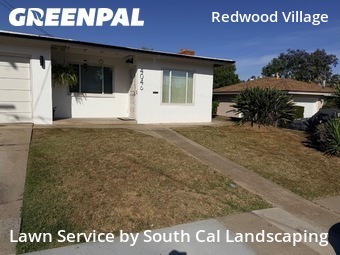 Work completed by grass-trimming-service-in in San Diego, CA