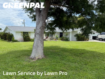 Work completed by professional-lawn-care-service-in-Venice-CA