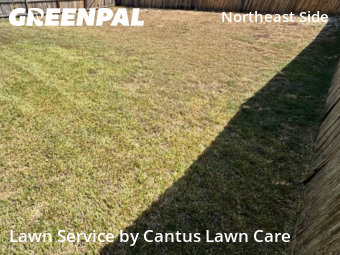 Yard Mowing nearby Converse, TX, 