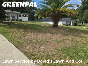 Grass Cut nearby Lady Lake, FL, 