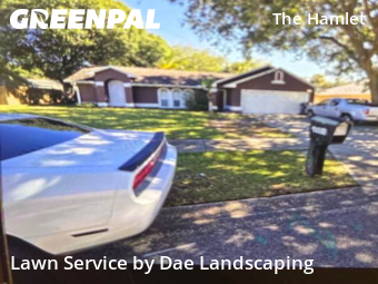 Yard Care in Titusville, 32780, Yard Maintenance by Dae Landscaping, work completed in Dec , 2025