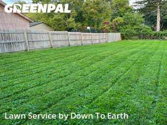 Grass Cut nearby Flint, MI, 