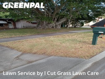 Yard Cutting nearby Seminole, FL, 