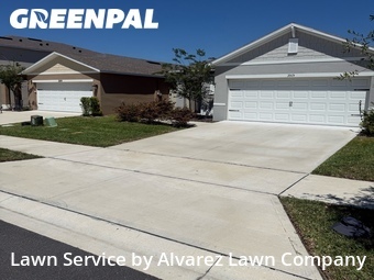 Grass Cuttingin Ocoee,34761,Lawn Service by Alvarez Lawn Company, work completed in Jun , 2026