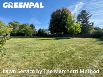 Lawn Mowing nearby Aurora, IL, 