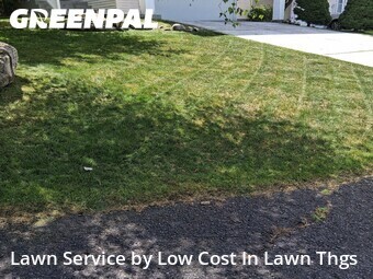 Grass Cut nearby Spokane Valley, WA, 