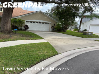 Grass Cutting nearby Palm Harbor, FL, 
