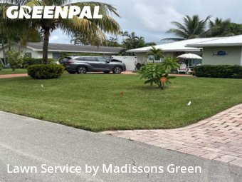 Backyard Mowing in Palm Beach Gardens, 33410, Yard Upkeep by Madissons Green, work completed in Nov , 2025
