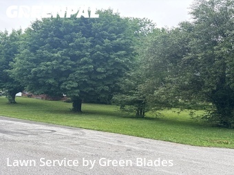 Lawn Cut nearby Bowling Green, TN, 