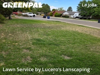 Lawn mowed in Albuquerque, 87110