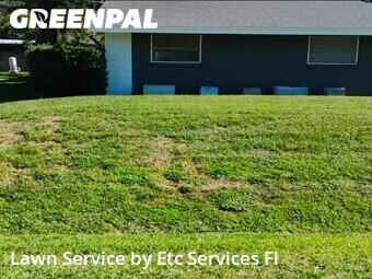 Yard Cutting nearby Tampa, FL, 