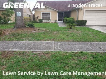 Yard Mowing nearby Brandon, FL, 
