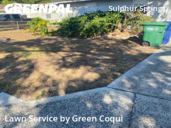 Lawn Maintenancein Tampa,33604,Lawn Cut by Green Coqui, work completed in Dec , 2025