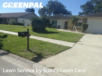 Grass Cutting nearby Palm Harbor, FL, 