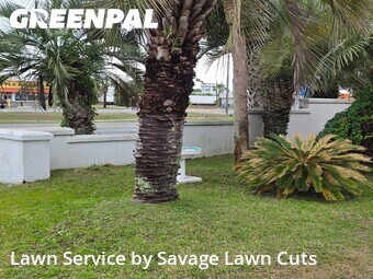 Lawn Care nearby Panama City Beach, FL, 