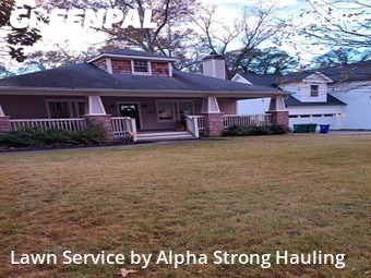 Yard Mowingin Decatur,30032,Lawn Cutting by Alpha Strong Hauling, work completed in Feb , 2026